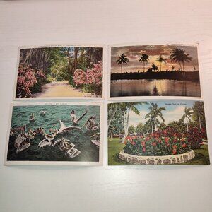 Lot 4 Pcs Florida Postcards Antique Vintage Collectible Art History Nature Parks